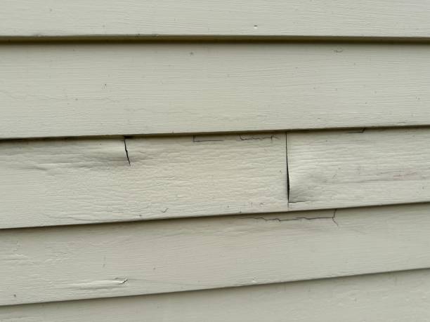 Best Siding for New Construction  in Moyie Springs, ID